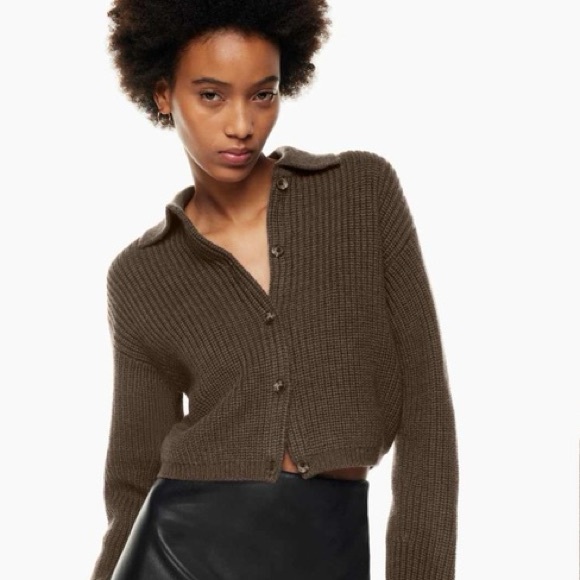 Aritzia Sweaters - Aritzia Nasim Sweater